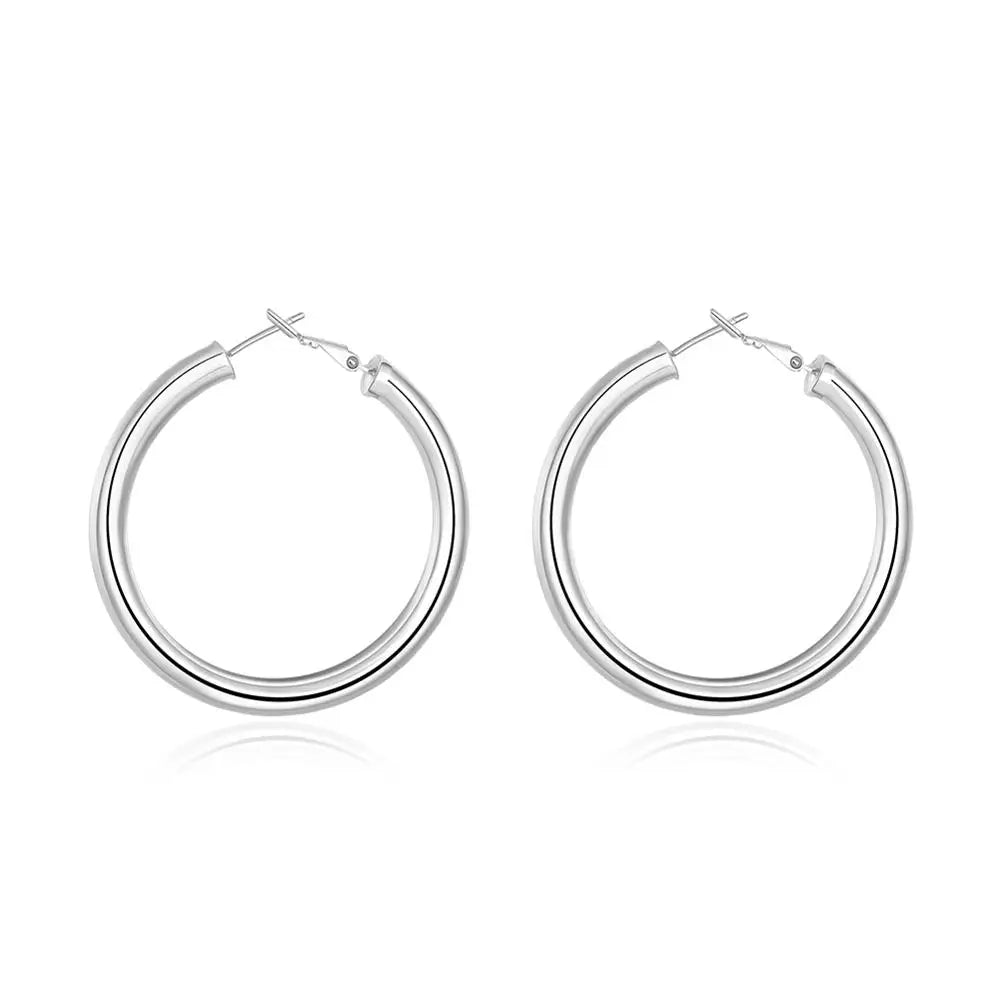 Silver Sleeper Hoops